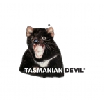 Tasmanian Devil